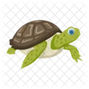 Turtle Icons Flatback Turtle Tortoise Icon