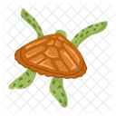 Turtle Icons Flatback Turtle Tortoise Icon