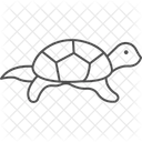 Pond Turtle Pondturtle Reptile Icon