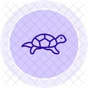 Pond Turtle Pondturtle Reptile Icon