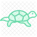 Pond Turtle Icon