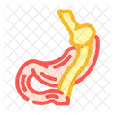 Gastrique Pontage Gastro Enterologue Icône
