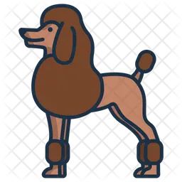 Poodle  Icon