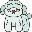 Poodle  Icon