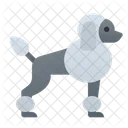 Poodle  Icon