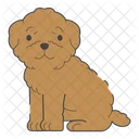 Poodle Dog Puppy Icon