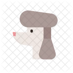 Poodle curly  Icon