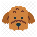 Poodle Dog  Icon