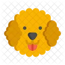 Poodle Pet Dog Dog Icon