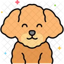 Poodle dog  Icon