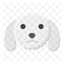 Poodle Pet Dog Dog Icon