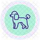 Poodle Icon