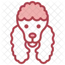 Poodle  アイコン