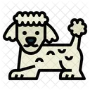 Poodle  Symbol