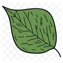 Poplar Leaf Leaf Foliage Icon