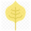 Poplar leaf  Icon