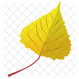 Poplar Leaf Icon