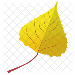 Poplar Leaf  Icon