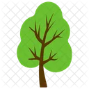Tree Poplar Cottonwood Icon