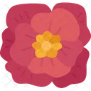 Poppies Flower Blossom Icon
