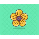 Poppy Spring Flower Agriculture Icon