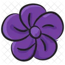 Poppy Blossom Botany Icon