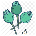 Poppy Herbal Spices Icon