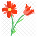 Poppy Flower Blossom Icon