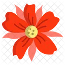 Poppy Flower Flowers Icon