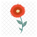 Poppy  Symbol