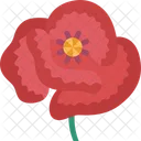Poppy Flower Blossom Icon