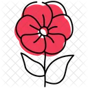 Poppy Poppy Flower Opium Poppy Icon