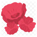 Poppy Flowers  Icon