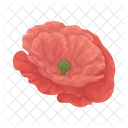 Poppy Icon