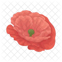 Poppy  Icon