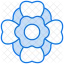 Poppy  Icon