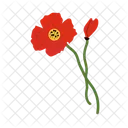 Poppy Flower Floral Icon