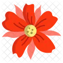 Poppy Flower Flowers Icon