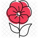 Poppy Poppy Flower Opium Poppy Icône