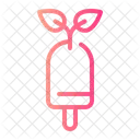 Popsicle Ice Cream Organic Icon
