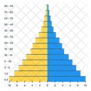 Population Pyramid  Icon