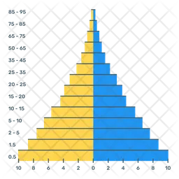 Population Pyramid  Icon