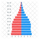 Population Pyramid Infographic  Icon