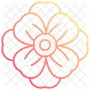 Mohn Mohnblume Blume Symbol