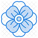 Mohn Mohnblume Blume Symbol