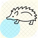 Porc Epic Icône