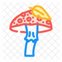 Porcini Mushroom  Icon