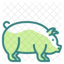 Porco Carne De Porco Zoologico Icon