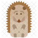 Porcupine Hedgehog Animal Icon