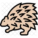 Porcupine Spines Rodent Icon
